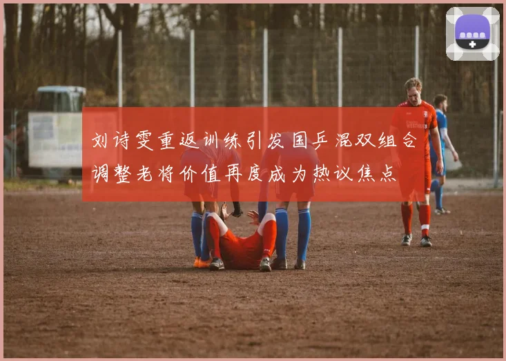 刘诗雯重返训练引发国乒混双组合调整老将价值再度成为热议焦点